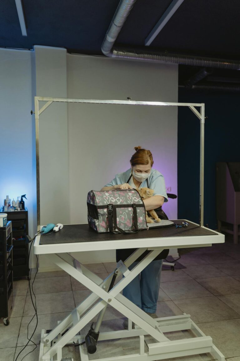 美容师修剪猫毛 Professional groomer trimming cat's fur.