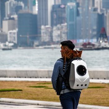 男子背着猫行走在城市水畔 Man walking with cat in backpack by water.