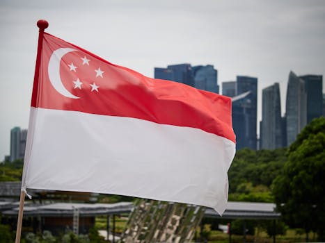 新加坡国旗与城市天际线 Singapore national flag with city skyline.