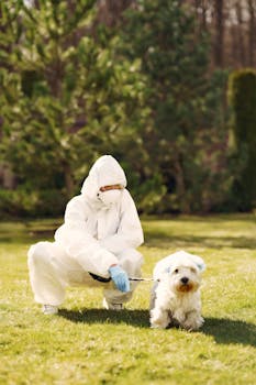 穿全套防护服的人员与小狗互动 Person in protective clothing with small dog.